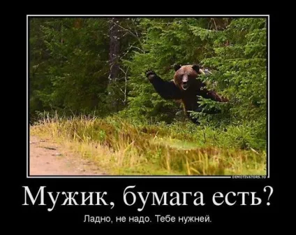 Що робити людині, якщо в лісі зустрів ведмедя (робити) Що робити людині, якщо в лісі зустрів ведмедя