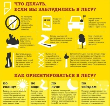 Що робити, якщо заблукав у лісі (лісі) Що робити, якщо заблукав у лісі
