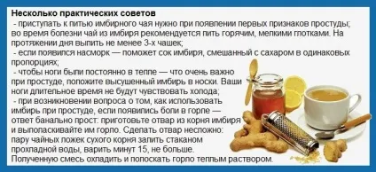 Імбир при застуді - лікування застуди (застуда) Імбир при застуді - лікування застуди
