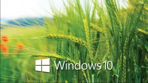 Як встановити тему в windows 10 що таке темна тема твій комп'ютер