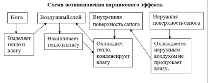 Як вибрати і як носити гумові чоботи інфографіка, інфографіка, аргументи і факти (взуття) Як вибрати і як носити гумові чоботи інфографіка, інфографіка, аргументи і факти