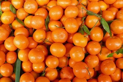 Як вибрати мандарини користь і корисні властивості мандаринів (користь мандаринів) Як вибрати мандарини користь і корисні властивості мандаринів