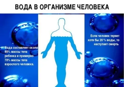 Як засвоюється вода в організмі - джерело оковец (вода) Як засвоюється вода в організмі - джерело оковец