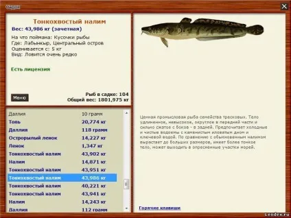 Як дізнатися як клює риба (ставок, в якому не клює) (в якому не клює) Як дізнатися як клює риба (ставок, в якому не клює)