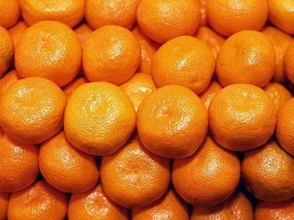 Як вибрати мандарини щоб було мало кісточок, тонка шкіра (кісточок) Як вибрати мандарини щоб було мало кісточок, тонка шкіра