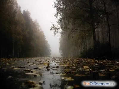 Як вилікувати депресію