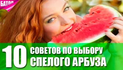 Як вибрати стиглий кавун 10 кращих порад! (Стиглий) Як вибрати стиглий кавун 10 кращих порад!