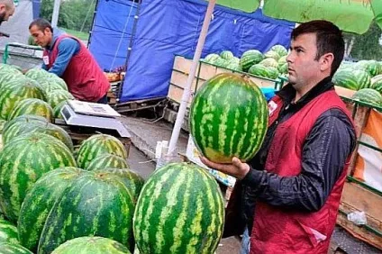 Як вибрати стиглий кавун 10 кращих порад! (Визначити стиглість кавуна) Як вибрати стиглий кавун 10 кращих порад!
