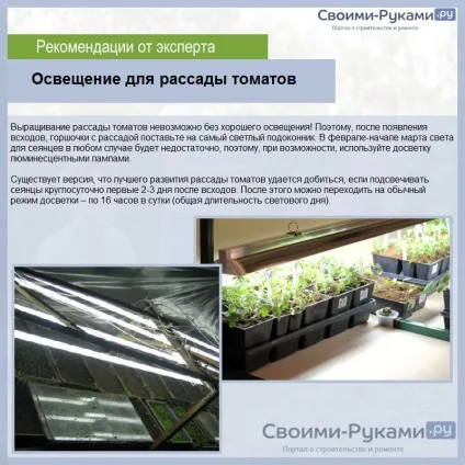 Як виростити помідори в теплиці з полікарбонату (виростити) Як виростити помідори в теплиці з полікарбонату
