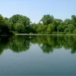Як засолити рибу засолювання риби (голову хвіст нутрощі) Як засолити рибу засолювання риби
