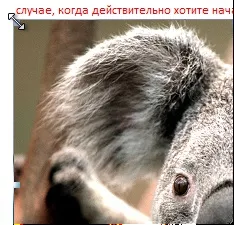 Як вставити картинку в wordpad (wordpad) Як вставити картинку в wordpad