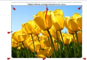 Як вставити зображення в wordpad (вставити) Як вставити зображення в wordpad