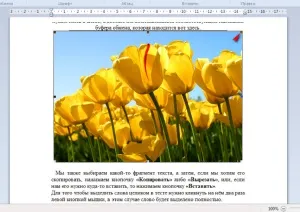 Як вставити зображення в wordpad (вставити) Як вставити зображення в wordpad