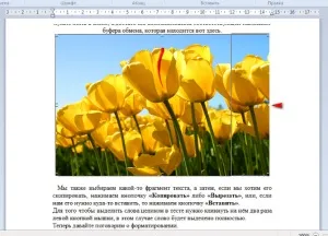 Як вставити зображення в wordpad (wordpad) Як вставити зображення в wordpad