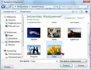 Як вставити зображення в wordpad (вставити зображення) Як вставити зображення в wordpad