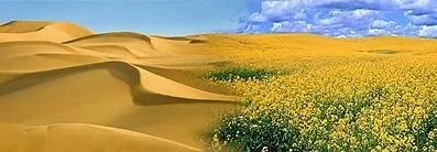 Як вставити картинку в картинку в фотошопі - докладне керівництво (вставити) Як вставити картинку в картинку в фотошопі - докладний посібник