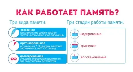 Як запам'ятати зв'язки (запам'ятати) Як запам'ятати зв'язки