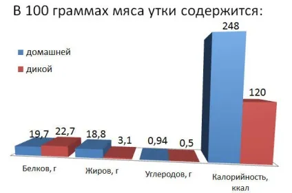 Як замаринувати качку щоб вона була м'якою - швидко і смачно (замаринувати) Як замаринувати качку щоб вона була м'якою - швидко і смачно