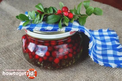 Як заготовити брусницю на зиму 15 способів (зиму) Як заготовити брусницю на зиму 15 способів