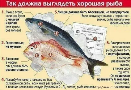 Як зберігати сушену рибу 5 методів (сушену) Як зберігати сушену рибу 5 методів
