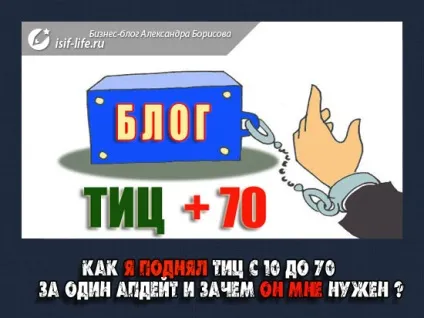 Як я підняв тиц до 70 і навіщо він взагалі потрібен