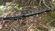 Крапельний полив в високих грядках