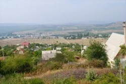 Як звали кохану Петрарки