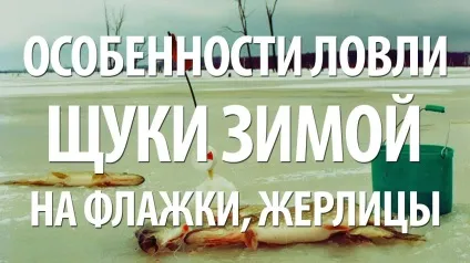 Як за хвіст риби не лови на сайті (лови) Як за хвіст риби не лови на сайті