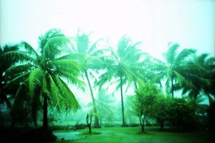 Як живеться в раю · lomography (живеться) Як живеться в раю · lomography