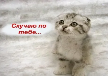Картинки сумую за тобою
