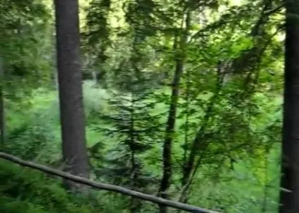 Карпати кращі місця, в яких потрібно побувати (карпати влітку) Карпати кращі місця, в яких потрібно побувати