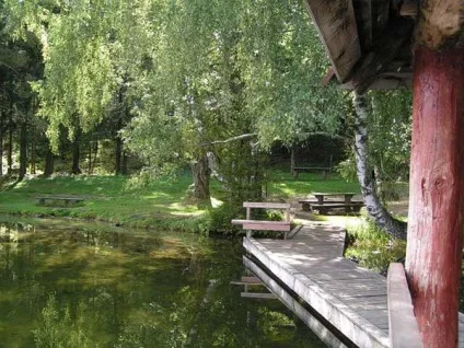 Як за хвіст риби не лови на сайті (рибу) Як за хвіст риби не лови на сайті
