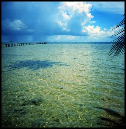 Як живеться в раю · lomography (живеться) Як живеться в раю · lomography