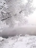 До чого сниться цунамі