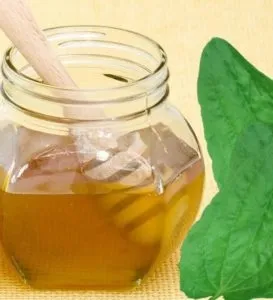 Катаральний Бульби що це таке, методи лікування (бактерія Helicobacter pylori) Катаральний Бульби що це таке, методи лікування