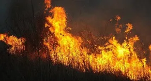 Кавказький вузол, слова балагова про кабардинской ідентичності обурили користувачів соцмереж (ідентичності) Кавказький вузол, слова балагова про кабардинской ідентичності обурили користувачів соцмереж