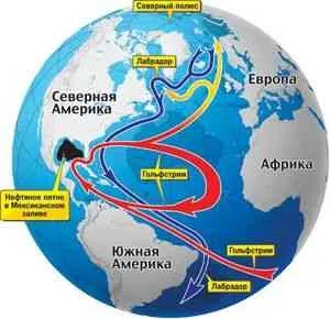Коли з'явився гольфстрім, загадки науки, світ невидимого (більш високих температур інші) Коли з'явився гольфстрім, загадки науки, світ невидимого