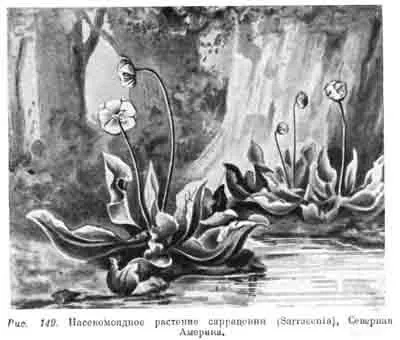 Клас формацій - сфагнові (верхові) болота (sphagniherbosa), географія рослин, collectedpapers