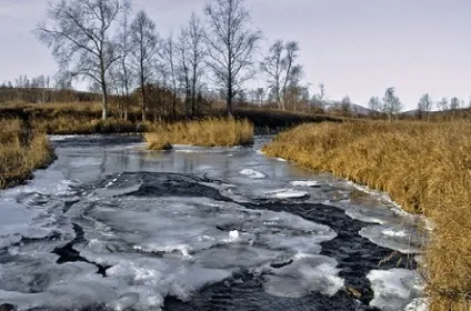 Коли краще рибалка на коропа особливості лову в різні сезони (краще) Коли краще рибалка на коропа особливості лову в різні сезони