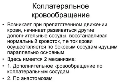 Колатеральний кровообіг що це і способи поліпшення (колатеральний) Колатеральний кровообіг що це і способи поліпшення