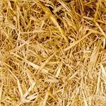 Копчені свинячі реберця з картоплею просто і смачно, кулінарні рецепти (м'ясо) Копчені свинячі реберця з картоплею просто і смачно, кулінарні рецепти