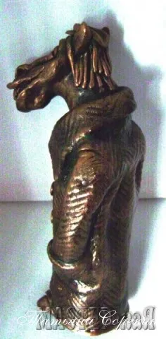 Кінь в пальто, маctерская