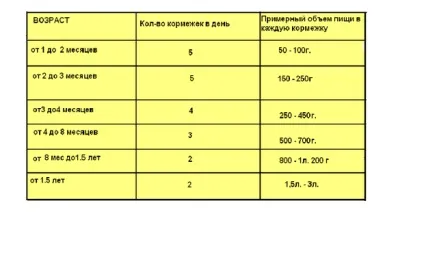 Годування азіата - шпіци уралу-uralminidog (азіата) Годування азіата - шпіци уралу-uralminidog