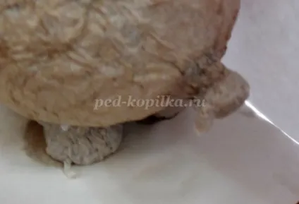 Скарбничка свинка своїми руками (своїми) Скарбничка свинка своїми руками