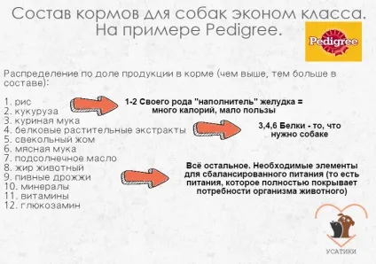 Корми для собак економ класу види, склад і рейтинг (собак) Корми для собак економ класу види, склад і рейтинг