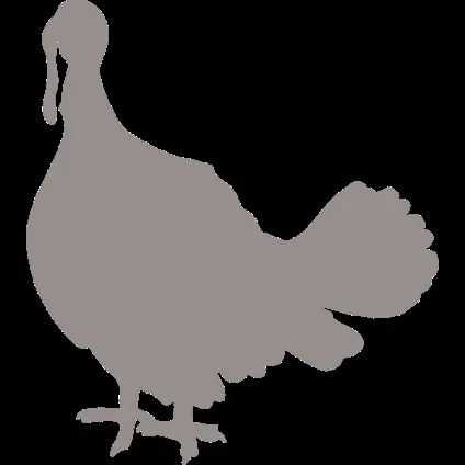 корми orijen