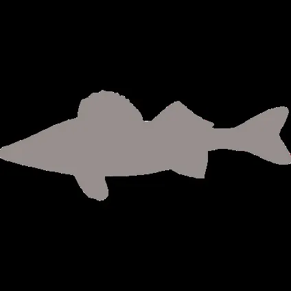 корми orijen