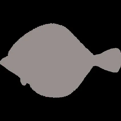 корми orijen