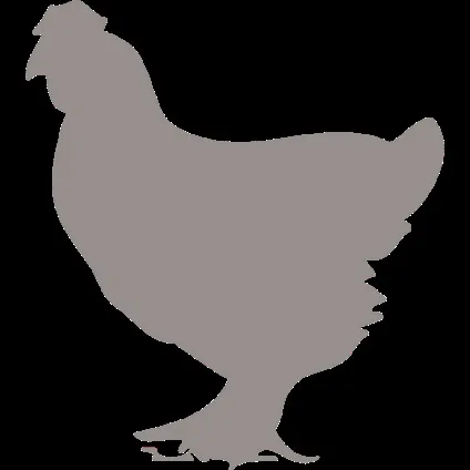 корми orijen