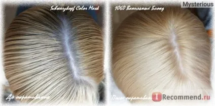 Фарба для волосся schwarzkopf color mask - «стійка фарба для волосся schwarzkopf color mask в